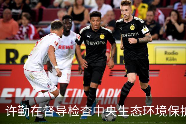 许勤在督导检查中央生态环境保护督察整改工作并巡河时强调 忠诚践行习近平生态文明思想 奋力谱写美丽中国建设龙江新篇章